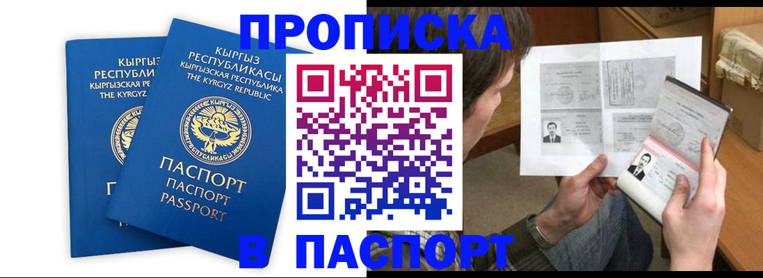 прописка гарантия в Химках